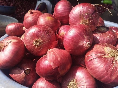 कांद्याचे दर प्रति किलो १४ रुपयांनी घटले!