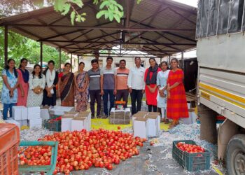 भावंडांनी काढले एकरी १० टन निर्यात क्षमतेचे डाळींब; २० वर्षांपासून डाळिंब उत्पादनात