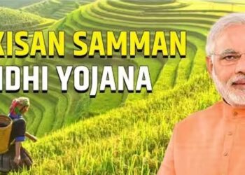 मोदी सरकारची शेतकऱ्यांना भेट, पीएम किसान योजनेचा १५ वा हफ्त्ता शेतकऱ्यांच्या खात्यात जमा