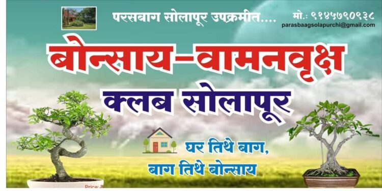 सोलापूरात डिसेंबरमध्ये बोन्साय प्रदर्शनाचे आयोजन