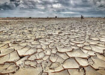 सोलापूर जिल्ह्यातील सर्वच ११ तालुके शासनाकडून दुष्काळग्रस्त जाहीर