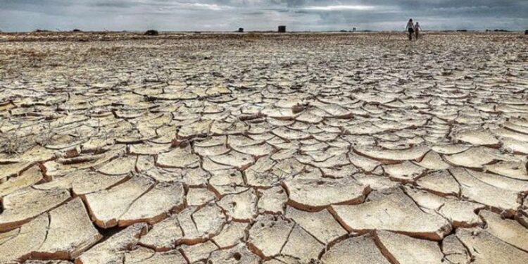 सोलापूर जिल्ह्यातील सर्वच ११ तालुके शासनाकडून दुष्काळग्रस्त जाहीर