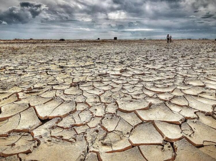 सोलापूर जिल्ह्यातील सर्वच ११ तालुके शासनाकडून दुष्काळग्रस्त जाहीर