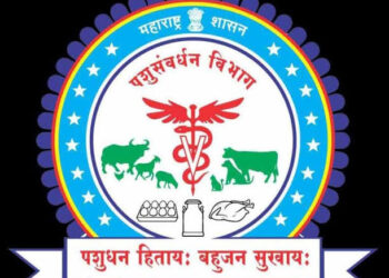 पशुसंवर्धन विभागाच्या वतीने 15 दिवसाचे कुक्कुट पालन प्रशिक्षणासाठी अर्ज करावेत