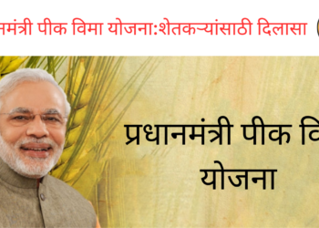 प्रधानमंत्री पीक विमा योजना: शेतकऱ्यांसाठी दिलासा/Pradhan Mantri Crop Insurance Scheme