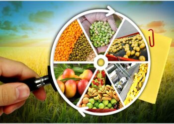 सोलापुरात ६ ते ८ डिसेंबर दरम्यान धान्य व फुड्स मशिनरीचे प्रदर्शन