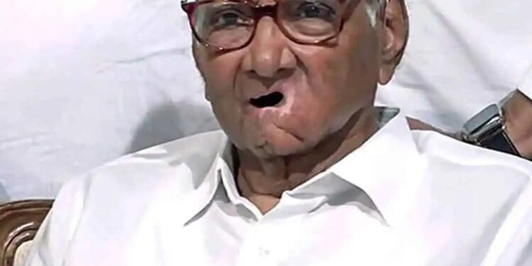 शरद पवारांनी महाराष्ट्राच्या राजकारणापासून दूर जावं, ज्येष्ठ साहित्यिकांचा वाढदिनी पवारांना सल्ला