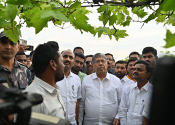 हत्तुर, कासेगाव येथील नुकसानग्रस्त शेतपिकांची पालकमंत्र्यांनी केली पाहणी