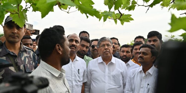 हत्तुर, कासेगाव येथील नुकसानग्रस्त शेतपिकांची पालकमंत्र्यांनी केली पाहणी