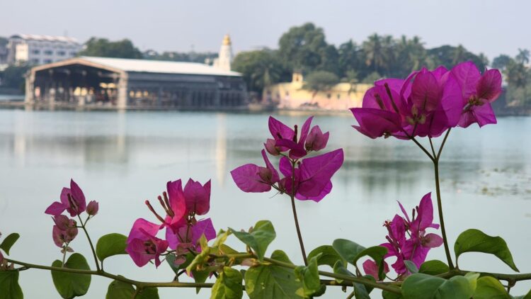 WhatsApp Image 2023-12-02 at 5.23.41 PM