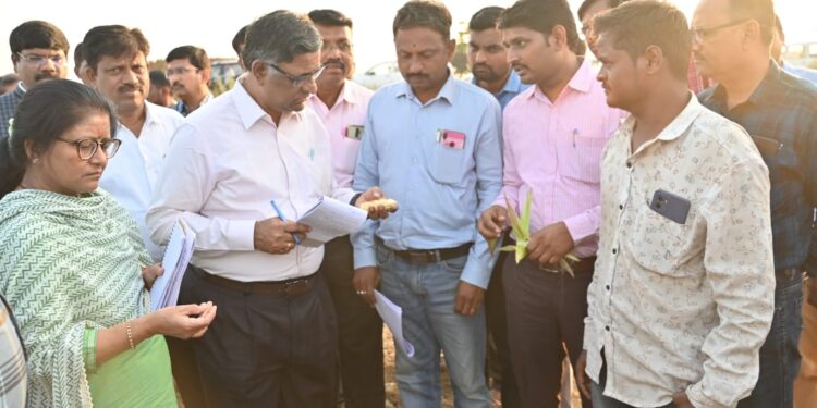 केंद्रीय दुष्काळ पाहणी पथकाकडून माळशिरस व सांगोला तालुक्यातील दुष्काळग्रस्त गावांची पाहणी