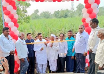 अहमदपूर तालुक्यातील किनी कदु येथे बसव सृष्टीतील संविधान पार्कचे उद्घाटन