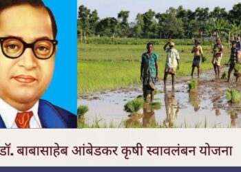 डॉ. बाबासाहेब आंबेडकर कृषी स्वावलंबन योजना:  नवबौद्ध शेतकऱ्यांसाठी एक महत्त्वाची योजना