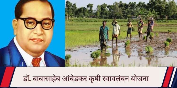 डॉ. बाबासाहेब आंबेडकर कृषी स्वावलंबन योजना:  नवबौद्ध शेतकऱ्यांसाठी एक महत्त्वाची योजना