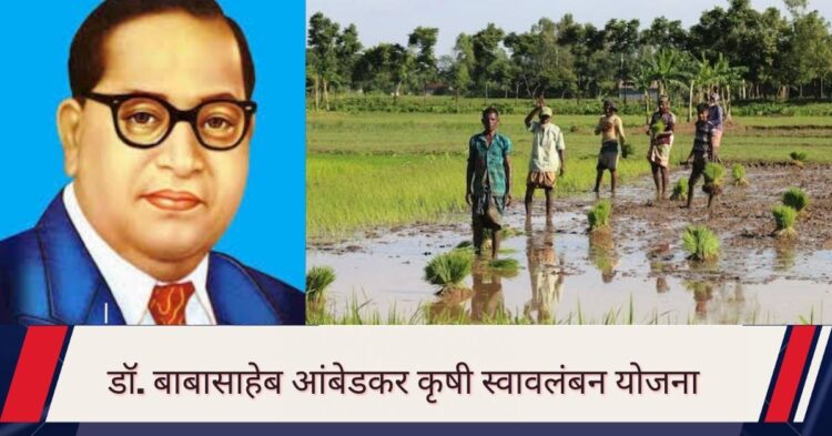 डॉ. बाबासाहेब आंबेडकर कृषी स्वावलंबन योजना:  नवबौद्ध शेतकऱ्यांसाठी एक महत्त्वाची योजना