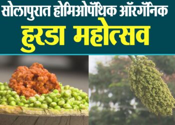 सोलापुरात होमिओपॅथिक ऑरगॅनिक हुरडा महोत्सव