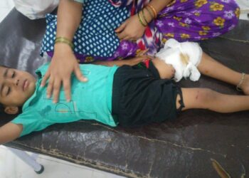 सोलापूर शहरातील धुमावस्तीमध्ये कुत्र्याने घेतला तिघांचा चावा