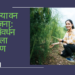 महाराष्ट्र कन्या वन समृद्धी योजना : पर्यावरण संवर्धन आणि महिला सशक्तीकरण