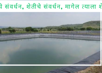 पाण्याचे संवर्धन, शेतीचे संवर्धन, मागेल त्याला शेततळे