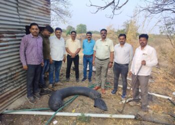 हातभट्ट्यांवर एक्साईज विभागाच्या धाडी; हातभट्टी दारु वाहतूक करणारी बोलेरोही ताब्यात