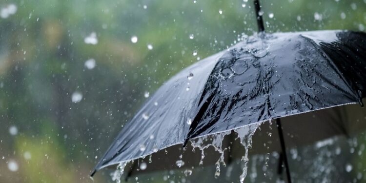 १ मार्चपर्यंत ‘या’ १० जिल्ह्यात पावसाची शक्यता