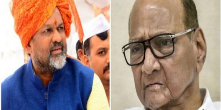 माढा लोकसभेसाठी शरद पवारांची जानकरांना साद