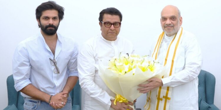 राज ठाकरेंची महायुतीत एन्ट्री?