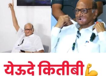 “कितीबी समोर येऊ दे, त्यांना एकटा बास”; सुप्रिया सुळेंचं व्हॉट्सॲप स्टेटस चर्चेत..