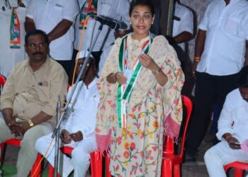 तुमच्या समस्या नाही सोडवल्यास माझा कान पकडा – प्रणिती शिंदे