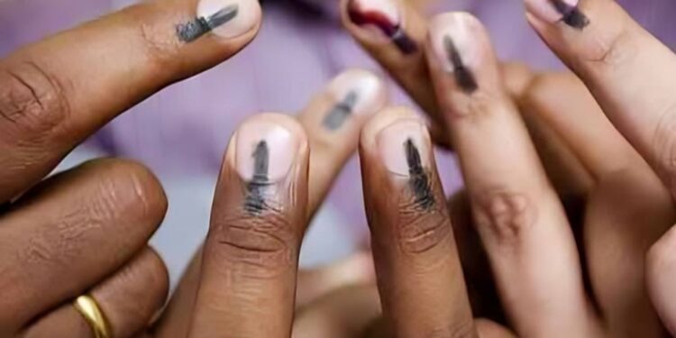 सोलापूर जिल्हा प्रशासनाचे हे मतदारांना आवाहन…