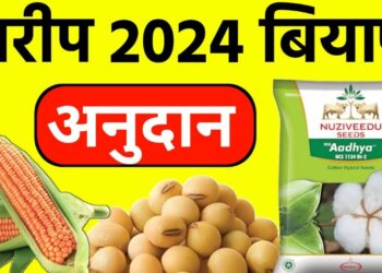 अन्नधान्य पिके अंतर्गत अनुदानावर बियाणे मिळण्यासाठी अर्ज करण्याचे आवाहन