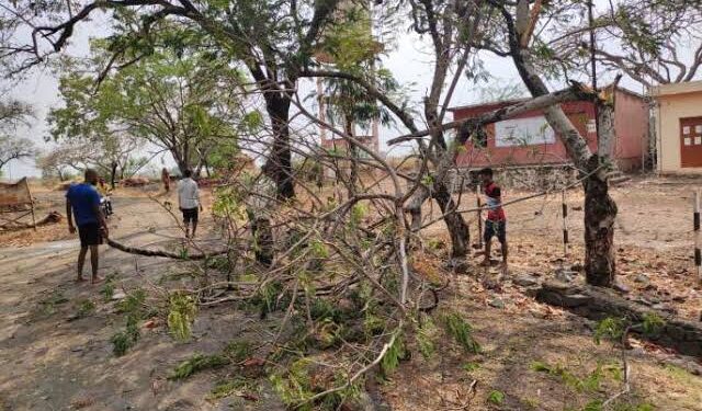 सोलापूर जिल्ह्यातील अनेक तालुक्यात वादळी वारे आणि पाऊस… विजेच्या तारा, पोल आणि झाडे पडली अख्खा जिल्हा अंधारात
