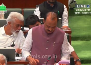 Ajit Pawar announced the 'Ladki Bahin' scheme