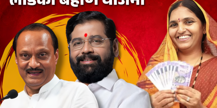 लाडकी बहीण योजनेचे अर्ज भरताना पैसे घेतले: सोलापुरात दोन नेट कॅफे विरोधात गुन्हे दाखल