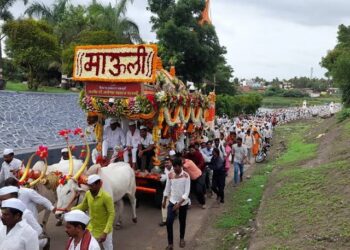 पालखी सोहळ्यात दोघांचा मृत्यु