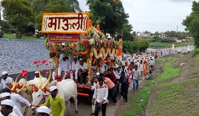 पालखी सोहळ्यात दोघांचा मृत्यु