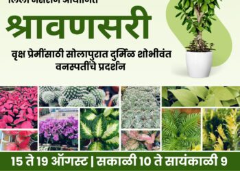 आत्मकला बहुउद्देशीय संशोधन संस्था व लीली नर्सरी सोलापूर यांच्या वतीने वृक्ष प्रेमींसाठी दुर्मिळ शोभिवंत वनस्पतींचे प्रदर्शन