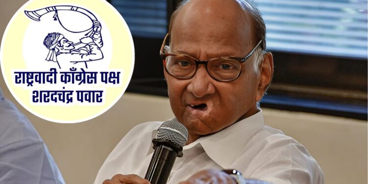 विधानसभा निवडणुकीपूर्वी सोलापुरात दिग्गज नेते तुतारी हाती धरण्याच्या तयारीत