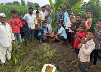सोलापूर मधील झाडे लावा झाडे जगवा ग्रुपच्या माध्यमातून 142 झाडांचे वृक्षारोपण