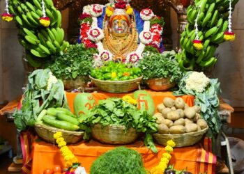 श्री रूपाभवानी देवीला हजारो भक्तांची रीघ