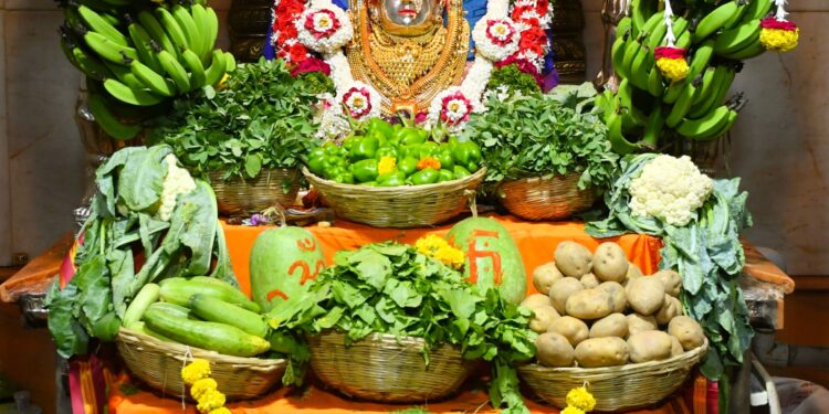 श्री रूपाभवानी देवीला हजारो भक्तांची रीघ