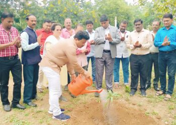 कर्मचारी संघटनेचे अध्यक्ष थोरात यांनी वाढदिनी विद्यापीठास 51 आंब्याचे रोपे देत केले वृक्षारोपण!