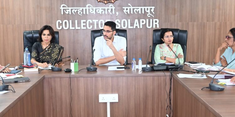 सर्व शासकीय यंत्रणांनी दिलेली जबाबदारी काटेकोरपणे पार पाडावी-जिल्हाधिकारी कुमार आशीर्वाद