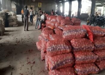सोलापुरात कांद्याची आवक वाढली; वाढीव सरासरी दरामध्ये घसरण
