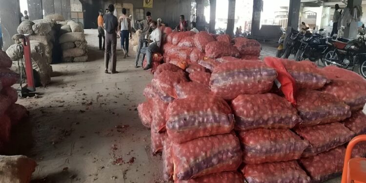 सोलापुरात कांद्याची आवक वाढली; वाढीव सरासरी दरामध्ये घसरण