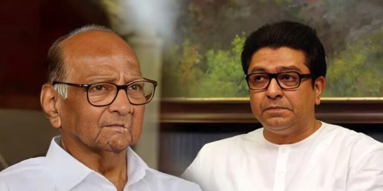 शरद पवार म्हणाले… राज ठाकरे काहीही मूर्खासारखं बोलतात, त्याची नोंद का घ्यायची