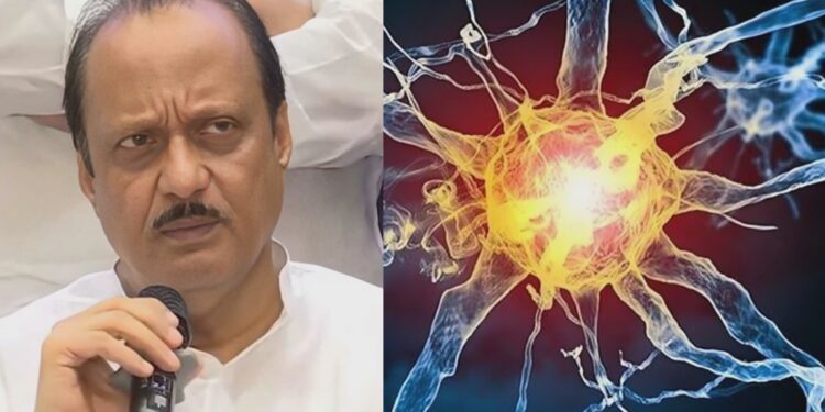 अजित पवार म्हणाले ,पाण्यामुळेच नाही तर कोंबड्यांमुळेही GBSची लागण…