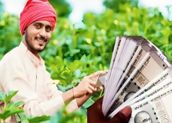 पीएम किसानचा 20 वा हप्ता येत्या काही दिवसांमध्ये होणार जमा…