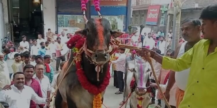 कसबा गणपती शेतकरी संघटनेचे कार्य कौतुकास्पद