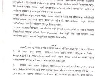 पहा मोहोळ समितीची प्रारूप प्रभाग रचना –